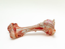 Liellopa augšstilba kauls