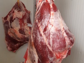 Jaunlopu, liellopu kautķermenis